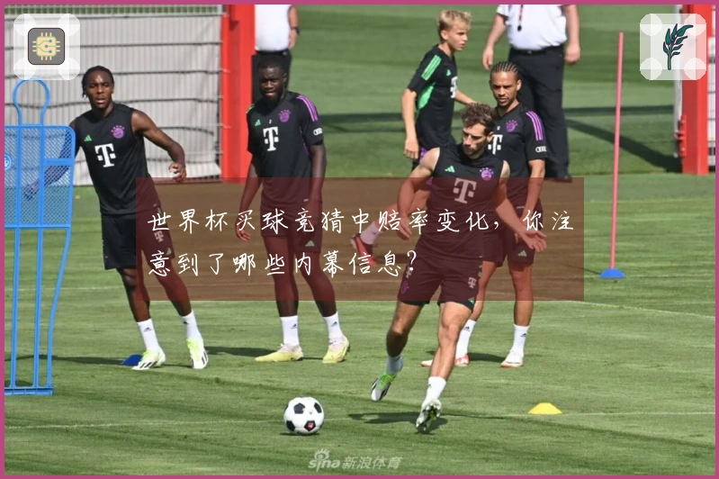 世界杯买球竞猜中赔率变化，你注意到了哪些内幕信息？