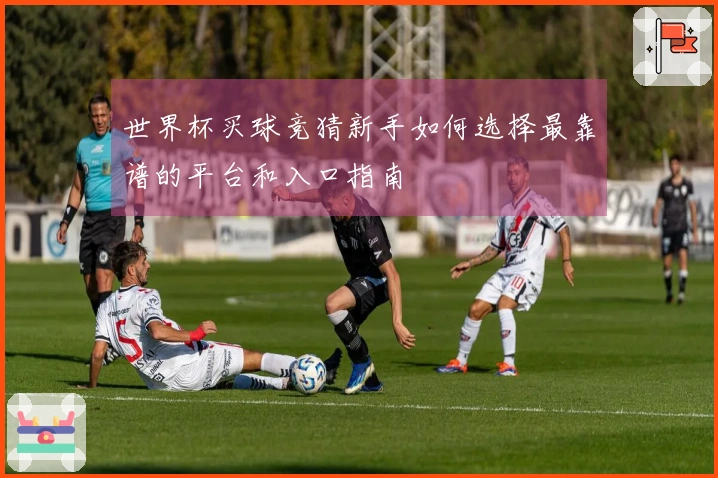 世界杯买球竞猜新手如何选择最靠谱的平台和入口指南